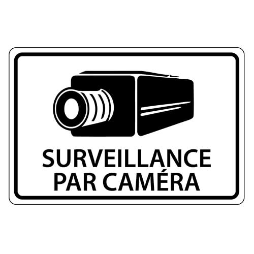 Affiche - Surveillance par caméra - Aluminium 0.064 - Vinyle Régulier Imprimé Laminé Glacé - 18x12 - STANDARD